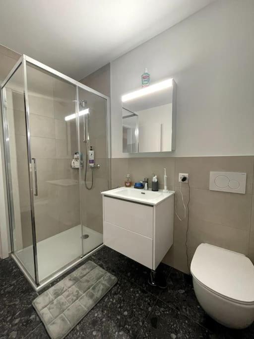 Five Stars Comfort Apartment Lugano Near The Lake Esterno foto